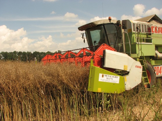 Canola (Rapeseed) Harvesting Attachment