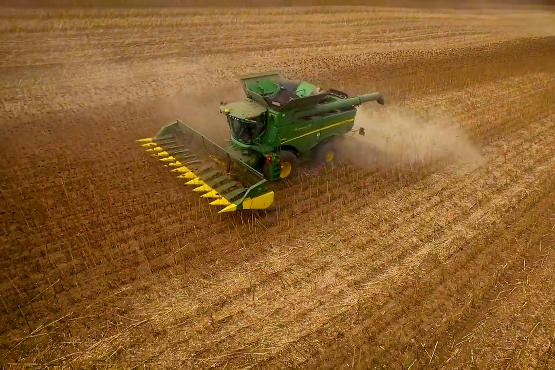 Sunflower Harvesting Header