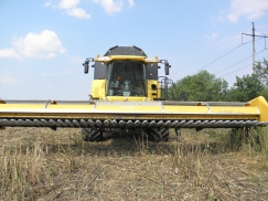 SUNMASTER Sunflower Harvesting Header | снимка 5