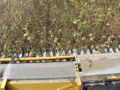 SUNMASTER Sunflower Harvesting Header | снимка 6