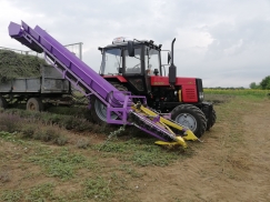 Lavender Harvester | снимка 5