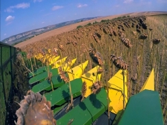 Sunflower Harvesting Header | снимка 2