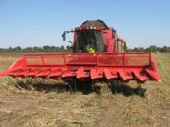 Sunflower Harvesting Header | снимка 8