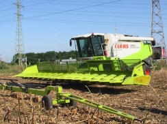 Sunflower Harvesting Header | снимка 9